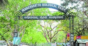 https://salarnews.in/public/uploads/images/newsimages/maannewsimage26062024_213401_Bannerghatta Biological Park.jpg